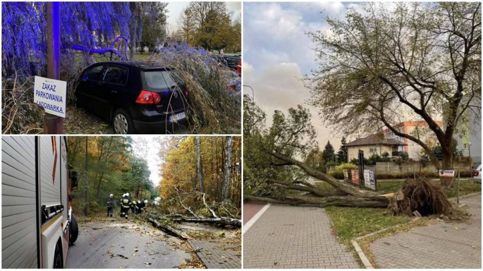 Bilans wichur w Łódzkiem: Ponad pół tysiąca interwencji. 23 tys. odbiorców nadal bez prądu! Gdzie jest najgorzej?